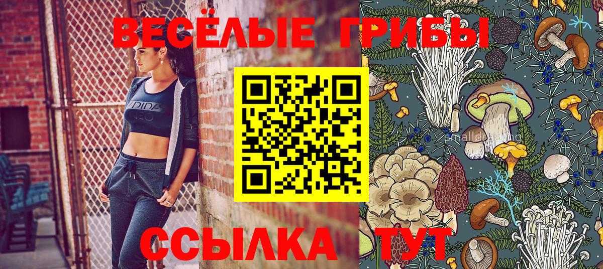 Псилоцибиновые грибы прущие грибы Партизанск