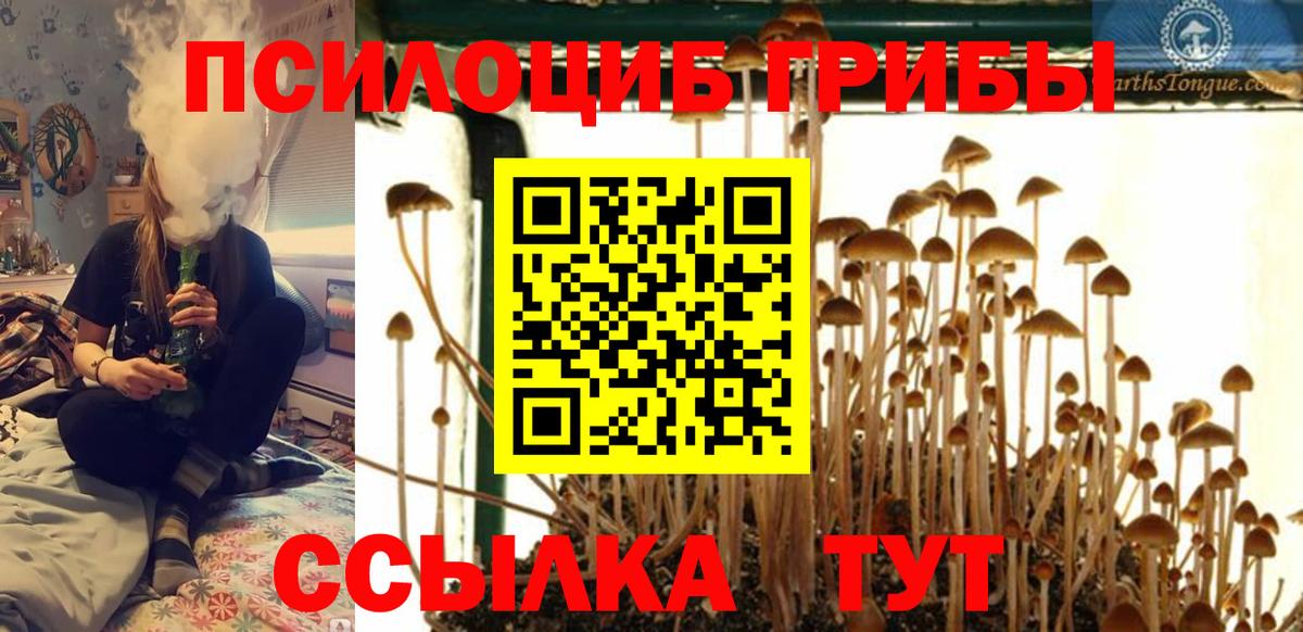 Галлюциногенные грибы мицелий  Вход с VPN  Партизанск 